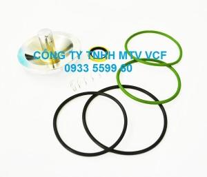 CHECK VALVE KIT 2901050301